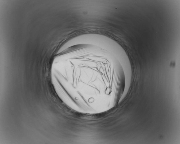 X0000113010417200910081227