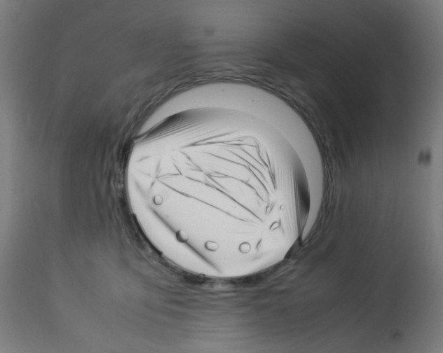 X0000113010419200910081227