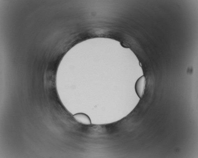 X0000113010421200910081227
