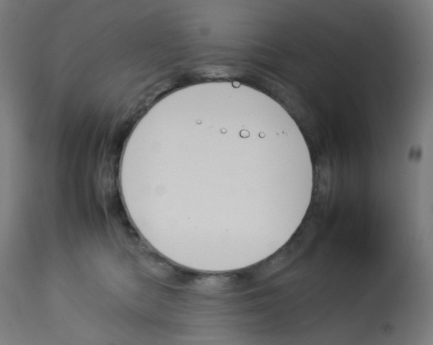 X0000113010422200910081227