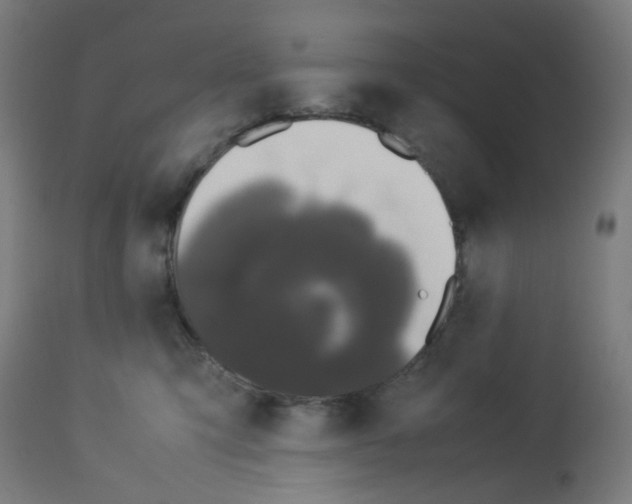 X0000113010423200910081227