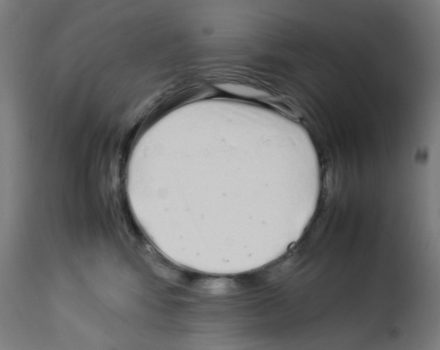 X0000113010424200910081227