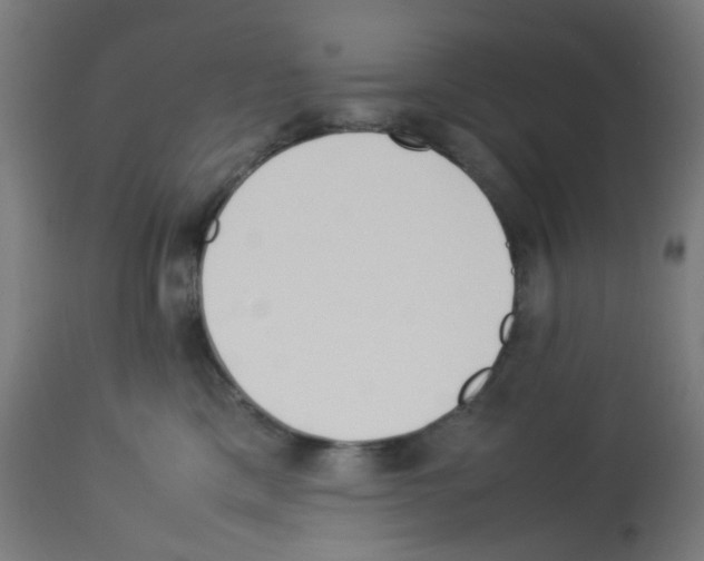 X0000113010425200910081227