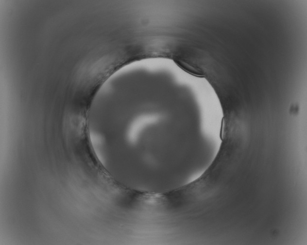 X0000113010427200910081227