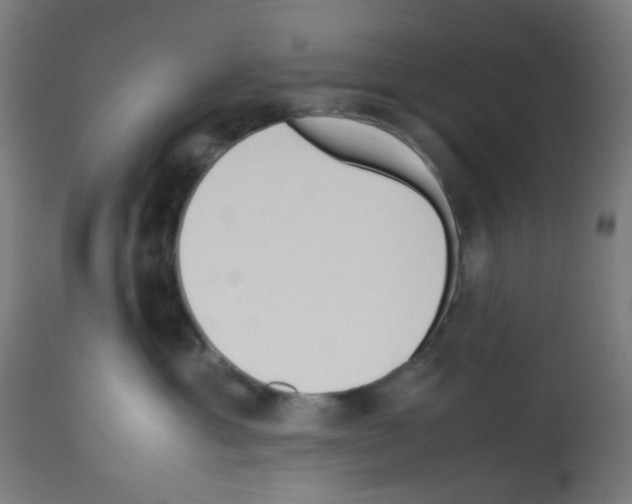 X0000113010429200910081227