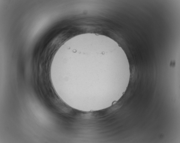 X0000113010430200910081227