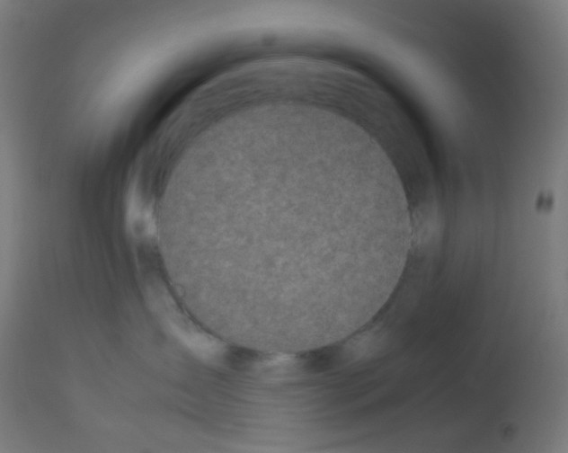 X0000113010431200910081227