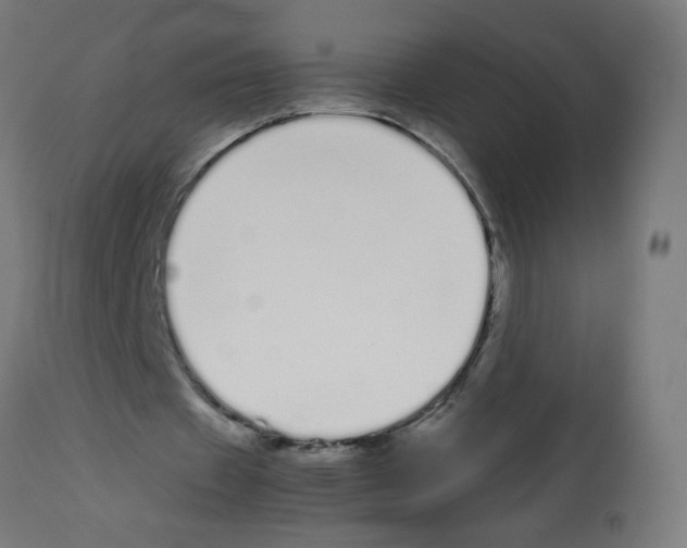 X0000113010433200910081226