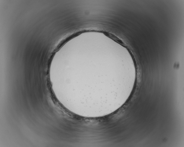 X0000113010434200910081226