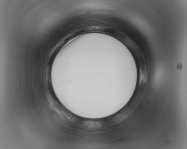 X0000113010435200910081226