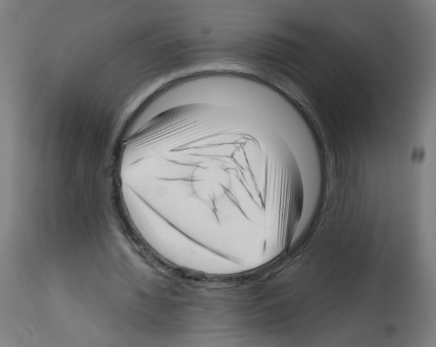 X0000113010436200910081226