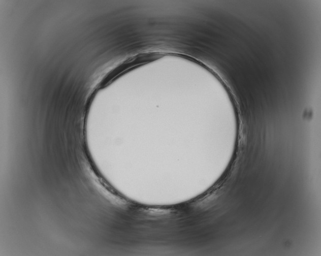 X0000113010437200910081226