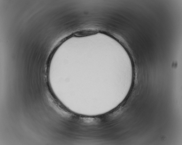 X0000113010439200910081226
