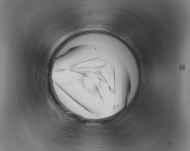 X0000113010440200910081226