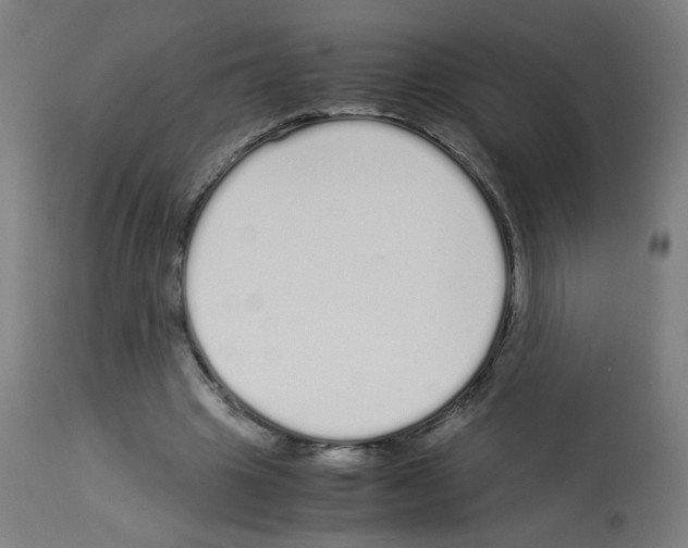 X0000113010441200910081226
