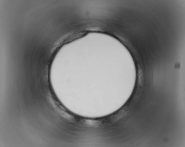 X0000113010442200910081226