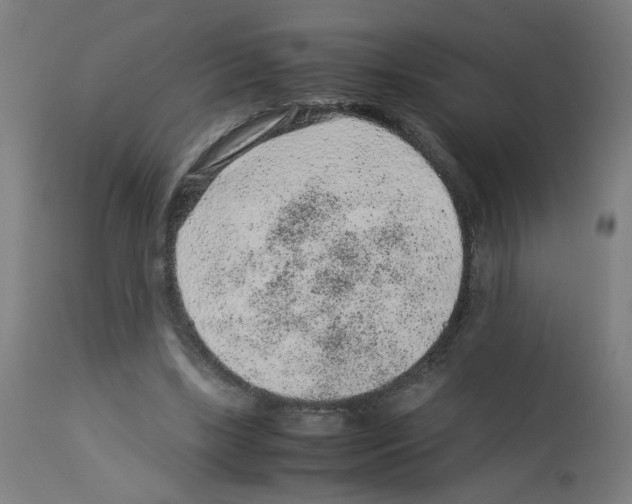 X0000113010443200910081226