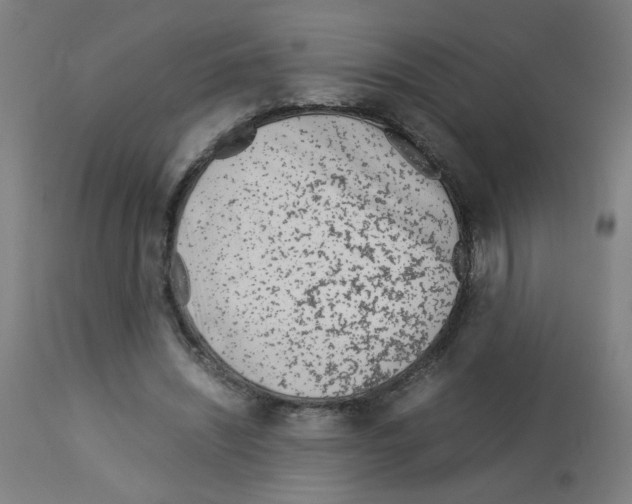 X0000113010444200910081226