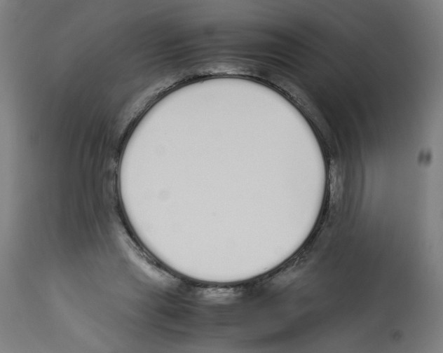 X0000113010445200910081226