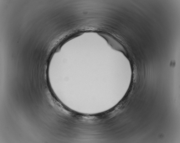 X0000113010446200910081226