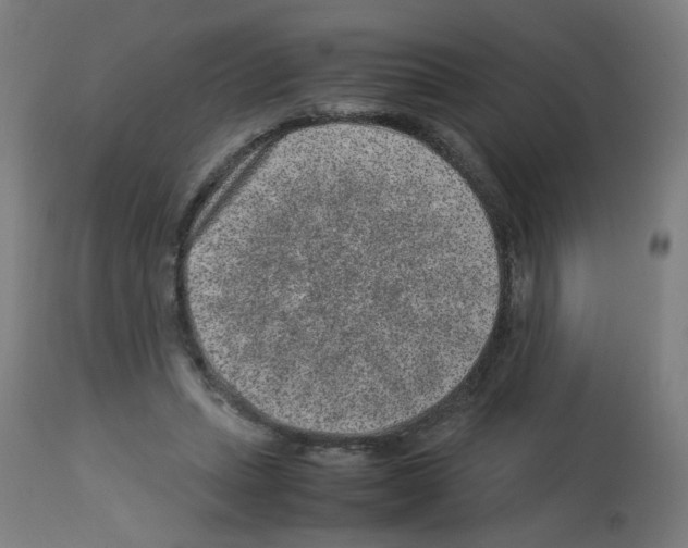 X0000113010447200910081226