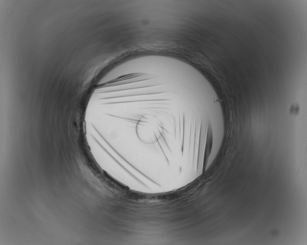 X0000113010448200910081226