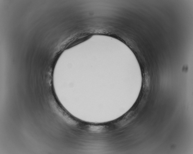 X0000113010450200910081226