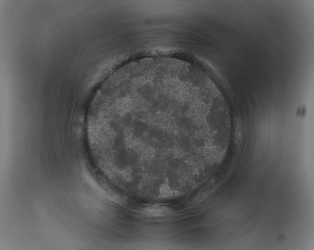 X0000113010451200910081226