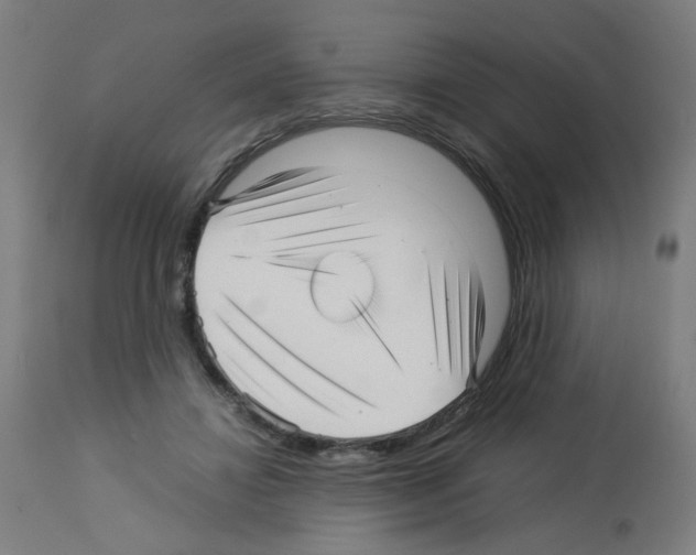 X0000113010452200910081226