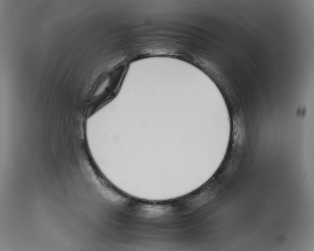 X0000113010453200910081226
