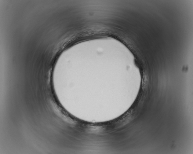 X0000113010454200910081226