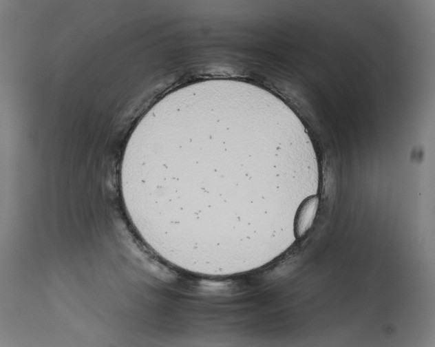 X0000113010457200910081226