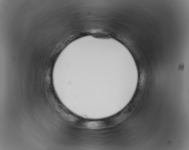 X0000113010461200910081226