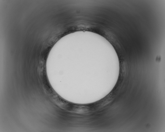 X0000113010463200910081226