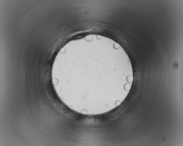X0000113010464200910081226