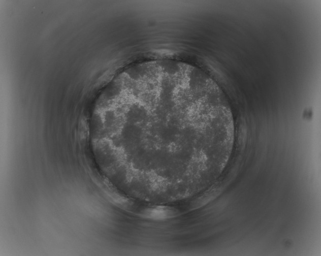 X0000113010467200910081226