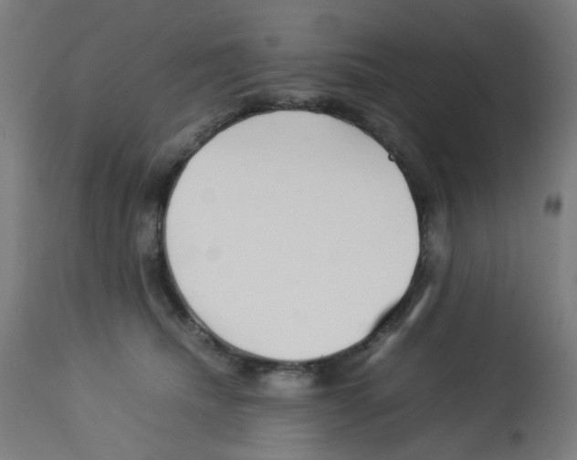 X0000113010468200910081226