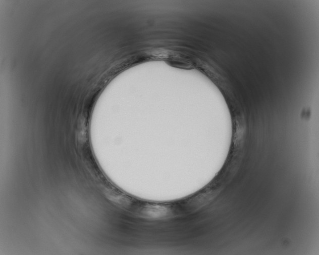 X0000113010469200910081226