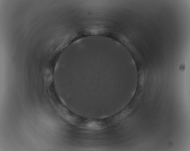 X0000113010471200910081227