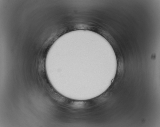 X0000113010473200910081227