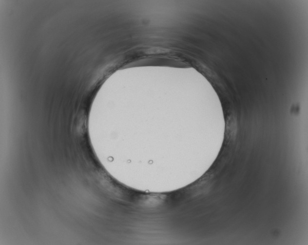 X0000113010474200910081227