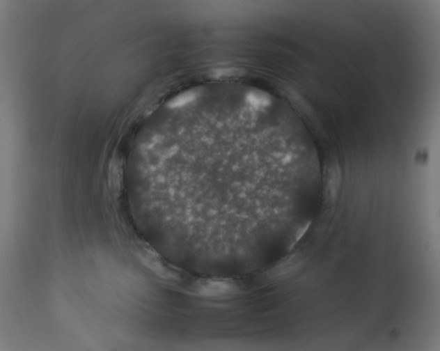 X0000113010475200910081227