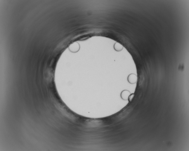 X0000113010476200910081227