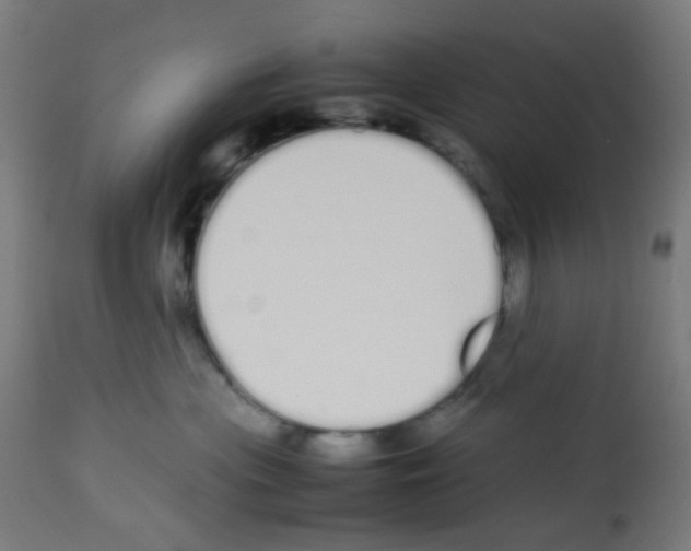 X0000113010477200910081227