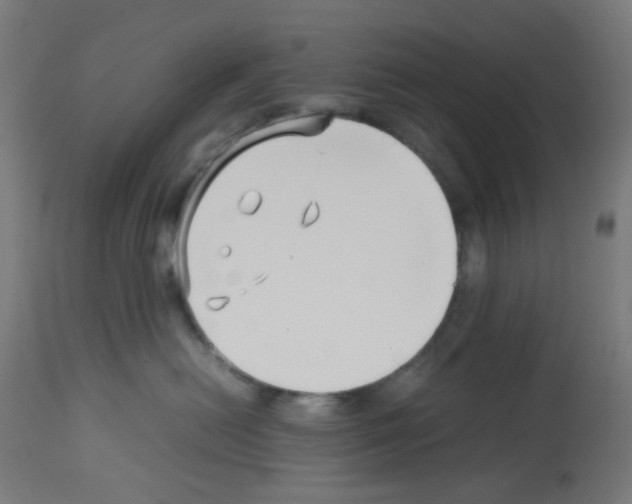 X0000113010478200910081227