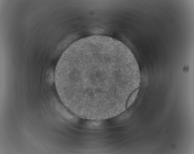X0000113010479200910081227