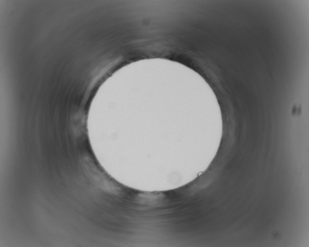X0000113010480200910081227