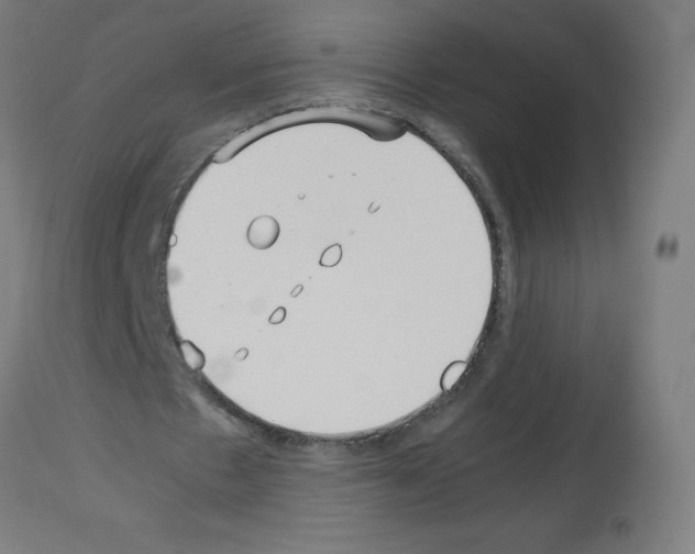 X0000113010481200910081226