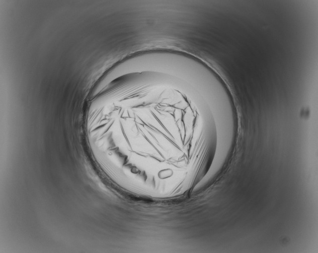 X0000113010485200910081226