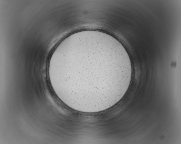 X0000113010486200910081226